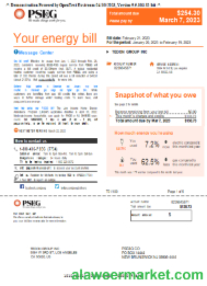 New York PSEG utility business bill,  page 1, SCR